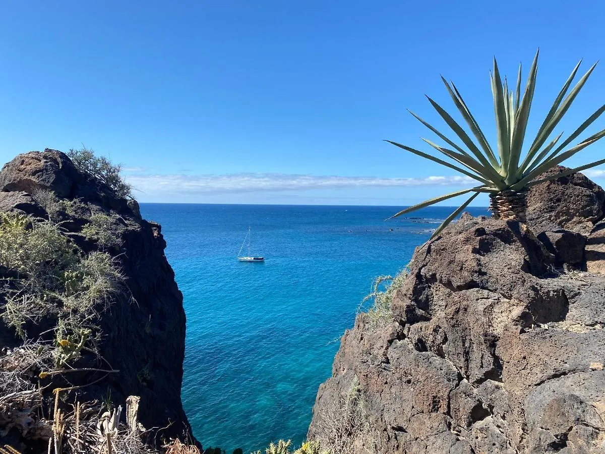 Primavera Tenerife Costa Del Silencio Spanien